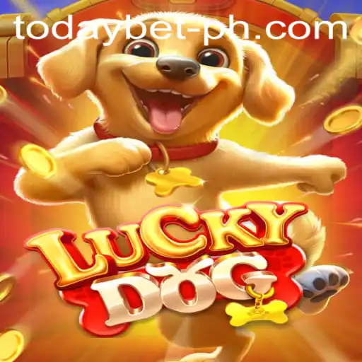 Unleashing the Thrill: Dive into the World of LuckyDog and Today Bet